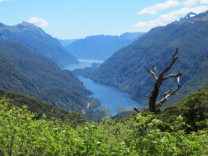 Read more about the article Not Doubtful about Cruising in Doubtful Sound