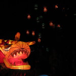 Lights are everywhere at the Auckland Lantern Festival