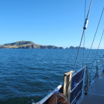 Idling by the islands of the Bay of Islands