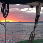 Sunset on the water, Poor Knights Islands