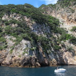 Mooring at Poor Knights Islands