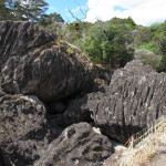Fluted basalt boulders scattered about, Wairere