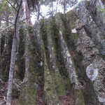 Fluted boulder looms over the track