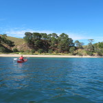 Kayaking into a private beach, Coromandel Harbour