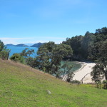 Hiking from the beach, Coromandel Harbour