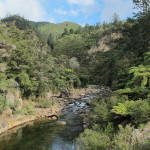 Along the rail trail, Karangahake Gorge