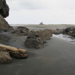 Looking back from a sandy gap in the rocks across Whatipu Beach