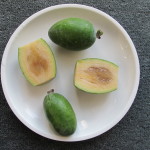 Plate of fresh-picked melon-y, citrus-y Feijoas