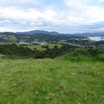 View from atop Waewaetorea Island