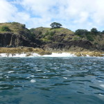 Kayaking the northern coast of Waewaetorea