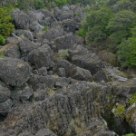 Overview at trail's end of rock-strewn waterway, Wairere