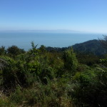 View across Firth of Thames to Rangitoto at 350 meters high