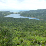 Reservoir lake in regenerated rainforest, Waitakere