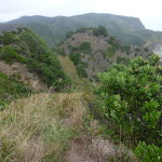 Ridges and canyons mark the coast of West Auckland