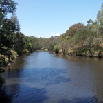 The Capital City Trail near Yarra Bend