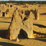 Forms at the Pinnacles: two seals dancing?