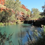Fern Pool at the end of Dales Gorge