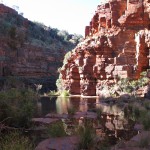 Stair step pool at Dales Gorge