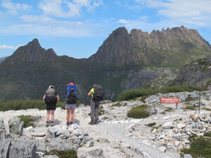 Read more about the article The Call of the Tasmanian Wild