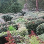 Overview of the Maze atop Mt. Dandenong, after the finish