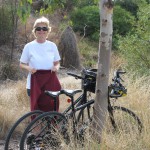 Arriving at Westgate Park wetlands