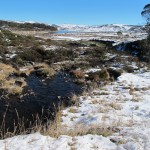 Alpine valley above Falls Creek