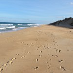 Paradise Beach on 90 Mile Beach, Victoria