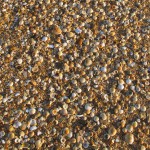 Fall colors on 90 Mile Beach