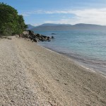 Heaps of dead coral shards on Fitzroy Island