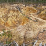 A grand canyon at the Mareeba Wetlands, just five feet deep