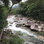 Mossman Gorge