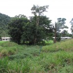 Kuku Yalanji village at Mossman Gorge