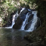 Dinner Falls, Atherton Tableland