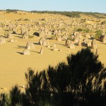 A wonderland in the desert: the Pinnacles