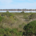 Pinkish Hutt Lagoon amid the dunes