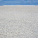 Shell Beach, a sea of cockle shells