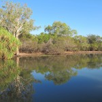 Along the Yellow Water of the Jim Jim River, Kakadu