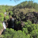 The plunge pool at Florence Falls