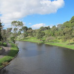 The Torrens River on its way thru Adelaide