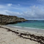 Snorkelling bay, Rottnest Island