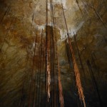 Roots of Karri trees hang from roof, Calgardup Cave