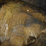 Calgardup Cave