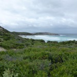 Over dunes to the Wild Southern Ocean