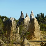 Forms at the PInnacles: Burghers of Calais?