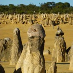 Forms at the PInnacles: what do you see?