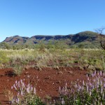 Searching for gorges in the Karajini landscape