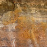 Naturalistic images of local fish, Kakadu