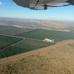 Irrigation channels from the Ord turn arid plains into farms