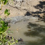 No swimming! Salties lurk in the Berkeley River