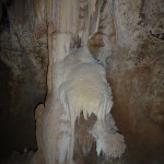 Remnants of past growth within the Mimbi Caves